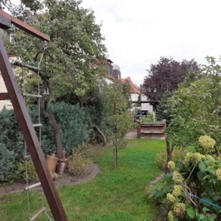 Gemutliche Zentrumsnahe Ferienwohnungen Mit Gemeinschaftsgarten Wittenberg Extérieur photo