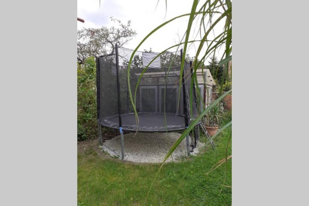 Gemutliche Zentrumsnahe Ferienwohnungen Mit Gemeinschaftsgarten Wittenberg Extérieur photo