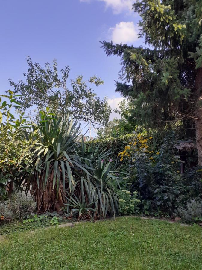 Gemutliche Zentrumsnahe Ferienwohnungen Mit Gemeinschaftsgarten Wittenberg Extérieur photo